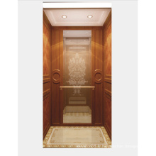 Miroir Etching Stainless Steel Home Elevator